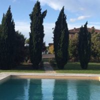 image-16-07-21-16-03 image-16-07-21-16-03